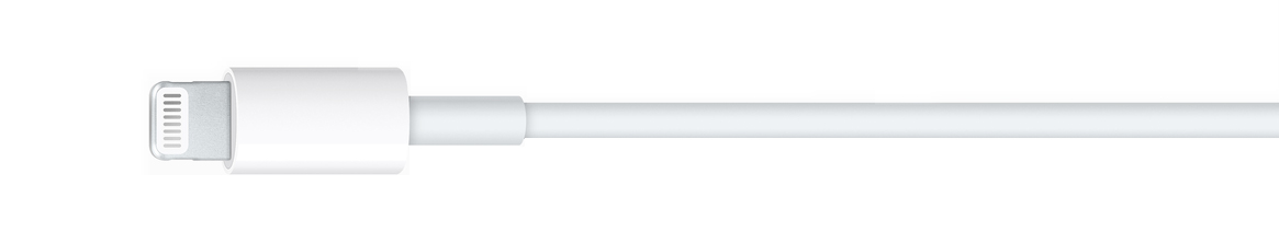 (image for) iPad Adapters & Cables
